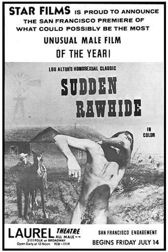 Movie poster for Sudden Rawhide (1972)