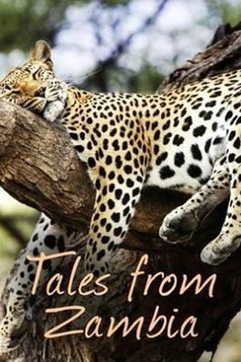 Series poster for Tales from Zambia (2017)