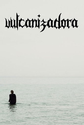 Vulcanizadora poster