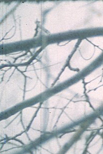 Movie poster for Wintergarden. Hudson River Diary Book: III (1973)