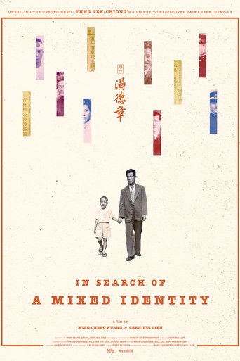 In Search of a Mixed Identity poster