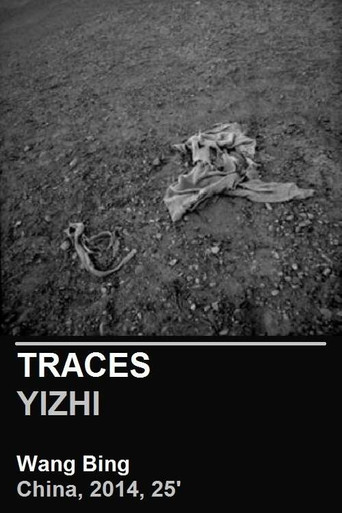 Movie poster for Traces (2014)
