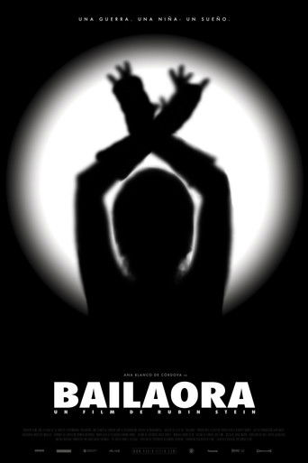 The Flamenco Dancer poster