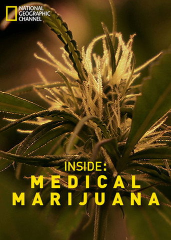 Movie poster for Inside: Medical Marijuana (2011)