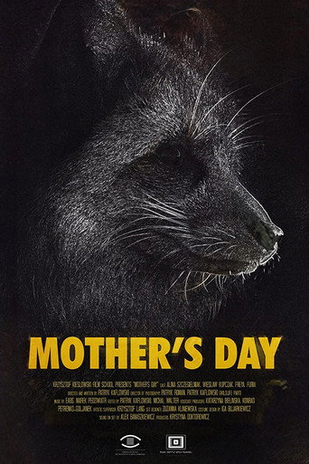 Movie poster for Mother's Day (2021)