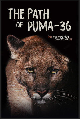 Movie poster for The Path of Puma-36 (2025)