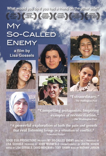 Movie poster for My So-Called Enemy (2010)