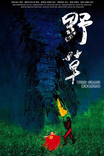 Movie poster for WILD GRASS (2017)