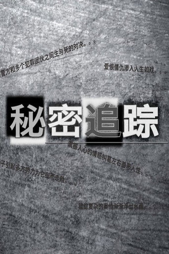 秘密追踪 poster