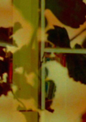 Movie poster for David (2008)