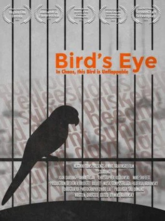 Movie poster for Bird's Eye (2020)