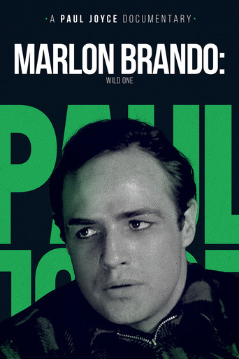 Marlon Brando: The Wild One poster