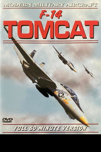 Movie poster for F-14 Tomcat (1990)