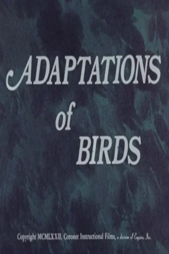 Movie poster for Adaptations of Birds (1972)