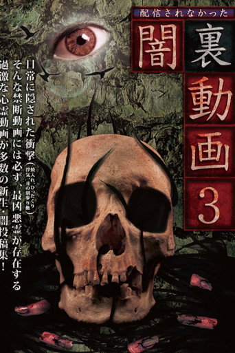 Movie poster for Haishin Sarenakatta Yami Ura Douga 3 (2017)