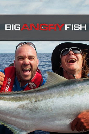 Big Angry Fish poster