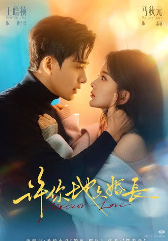 许你地久婚长 poster