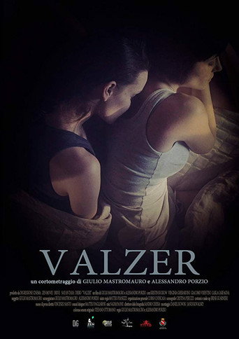 Movie poster for Valzer (2016)