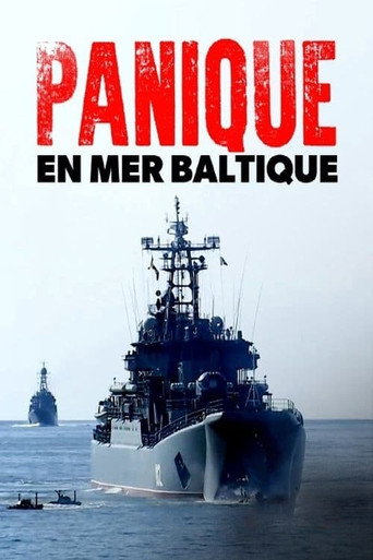 Movie poster for Panic in the baltic (2022)