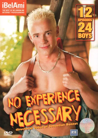 Movie poster for No Experience Necessary (2007)