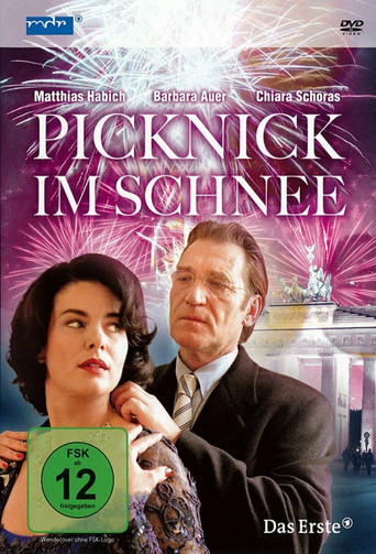 Picknick im Schnee poster