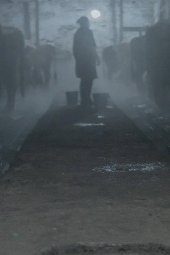 Movie poster for Daybreak, Sunset, Cow Milk (2020)