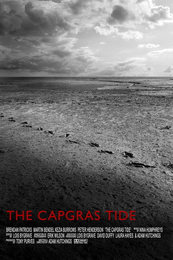 The Capgras Tide poster