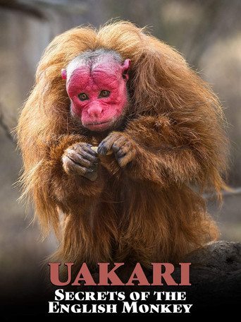 Movie poster for Uakari: Secrets of the English Monkey (2008)