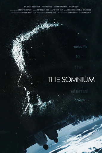 Movie poster for The Somnium (2018)
