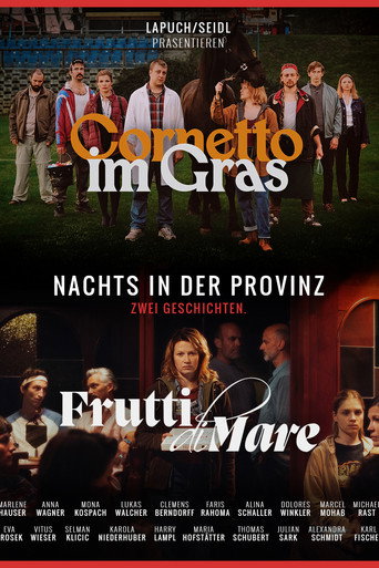 Movie poster for Nachts in der Provinz (2026)
