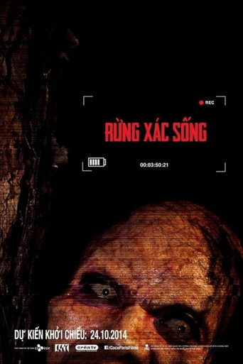 Movie poster for The Lost Tour: Vietnam (2014)