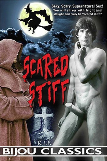 Movie poster for Scared Stiff (1985)
