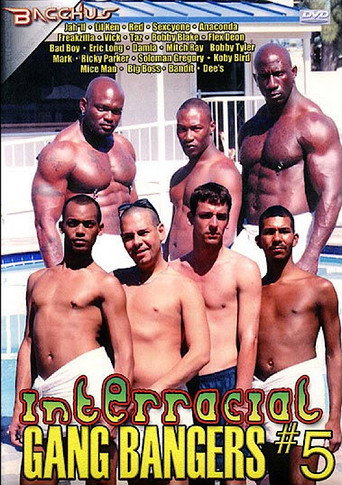 Movie poster for Interracial Gang Bangers 5 (2007)
