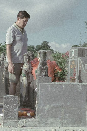 Nothing in the Cries of Cicadas poster