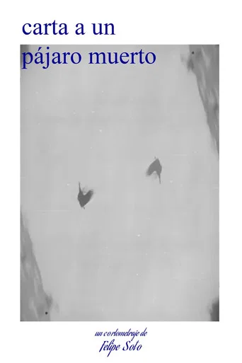 Movie poster for letter to a dead bird (2026)