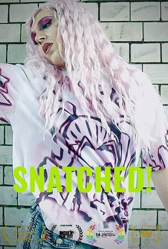 Movie poster for Snatched! (2022)
