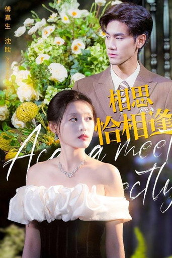 Series poster for 相思恰相逢 (2024)