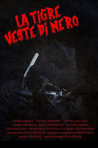 Movie poster for The tiger wears black (2023)