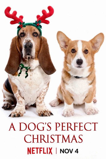 Movie poster for A Dog's Perfect Christmas (2026)