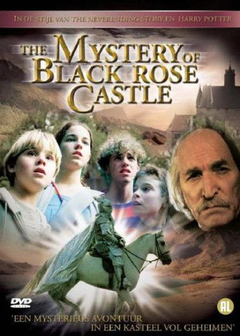 Movie poster for The Mystery of Black Rose Castle