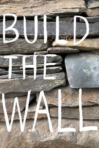 Build the Wall poster