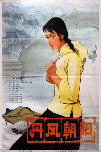 Movie poster for A Embroider Maiden (1980)