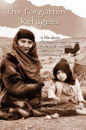 Movie poster for The Forgotten Refugees (2005)