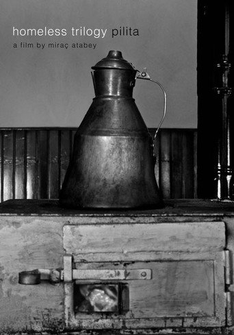 Movie poster for Stove (2012)