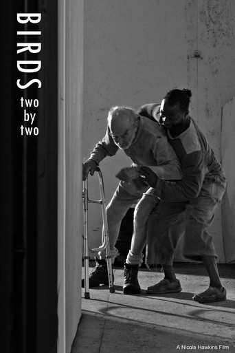 Movie poster for Birds Two by Two (2025)
