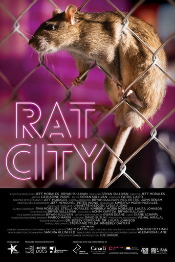 Rat City poster