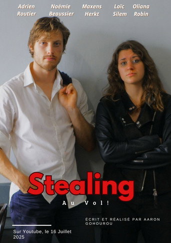 Movie poster for Stealing Au Vol (2025)