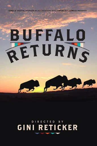 Movie poster for Buffalo Returns (2015)
