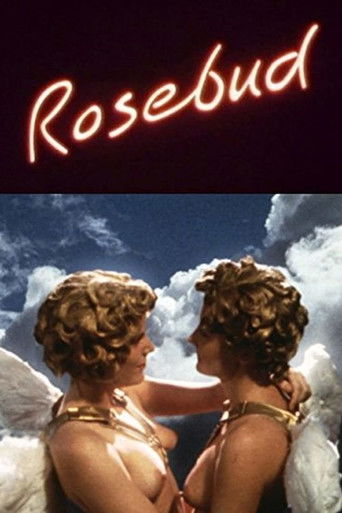 Rosebud poster