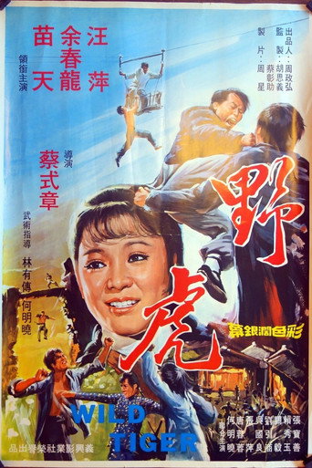 Movie poster for Wild Tiger (1974)